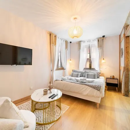 Apartment Au Petit Lion, Centre Garage Gratuit *