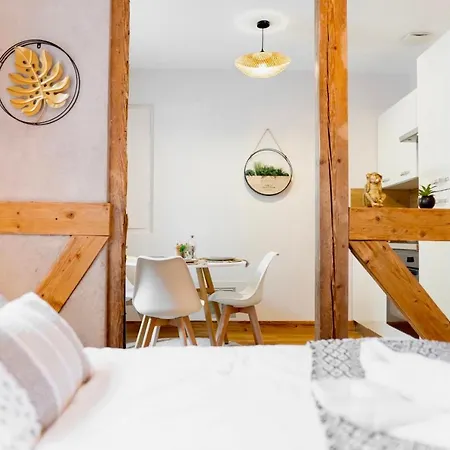 Apartament Au Petit Lion, Centre Garage Gratuit Colmar