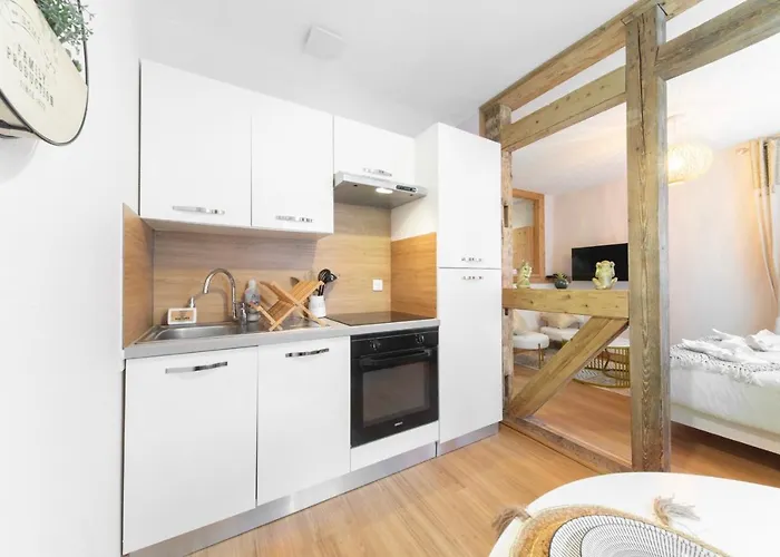 Au Petit Lion, Centre Garage Gratuit * Colmar